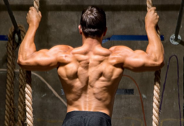 You Need to Train Your Upper Back
